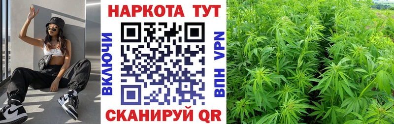 Наркота Нерехта A-PVP  Меф  Кокаин  Гашиш  Псилоцибиновые грибы  Марихуана 