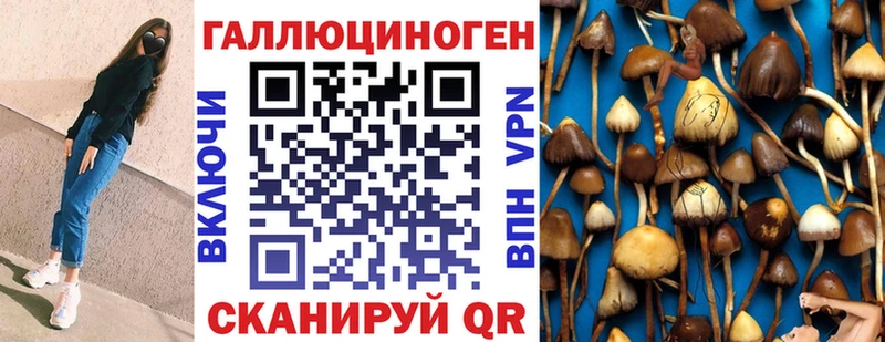 Галлюциногенные грибы Cubensis Нерехта